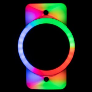 Holysmoke Raphe Bluetooth TWS Party Speaker 12" Portable